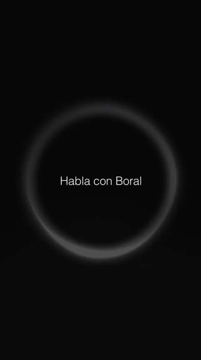 Pantalla de voz de Boral lista para recibir una instrucción.