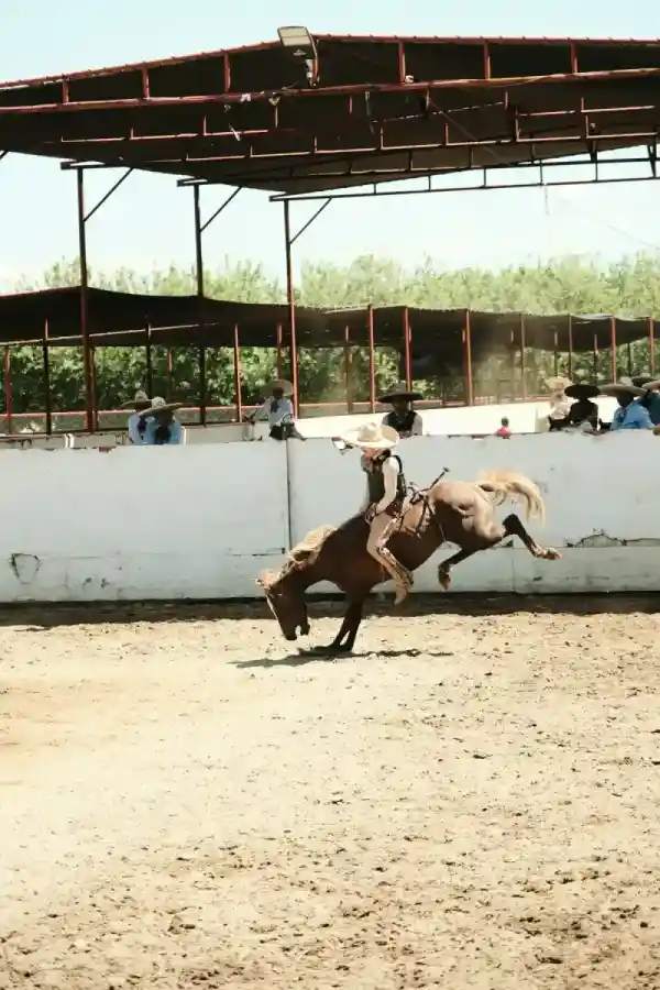 Jinete entrenando con un caballo en una pista