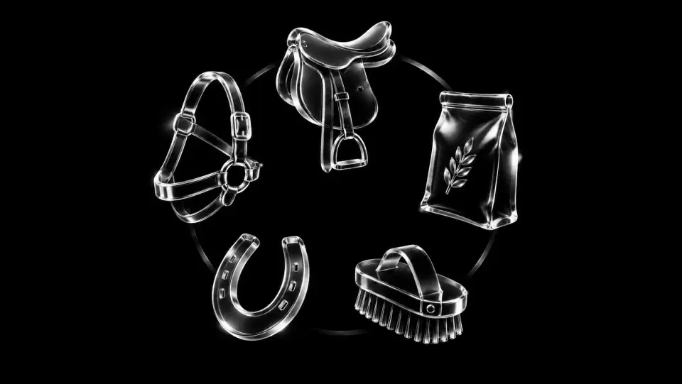 Iconos transparentes de equipamiento de equitación y pienso